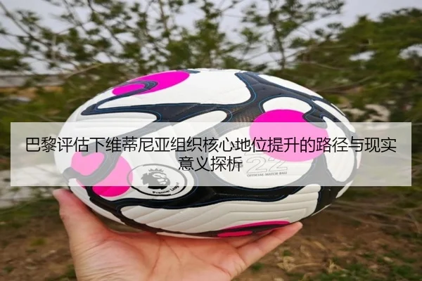 巴黎评估下维蒂尼亚组织核心地位提升的路径与现实意义探析
