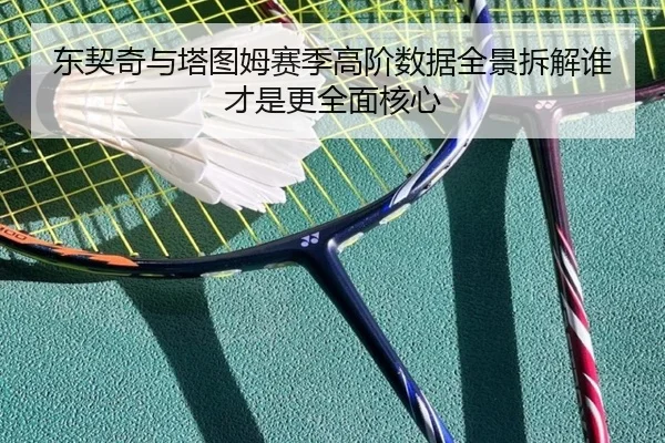 东契奇与塔图姆赛季高阶数据全景拆解谁才是更全面核心